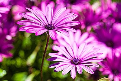 小小梦魇工作室暗示新作开发中 或于6月公布